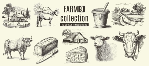 Farm Animal Vintage Engravers Collection #1, 24xAI 12xJPEG