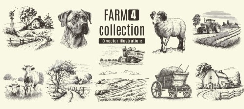 Farm Animal Vintage Engravers Collection #1, 24xAI 5xJPEG