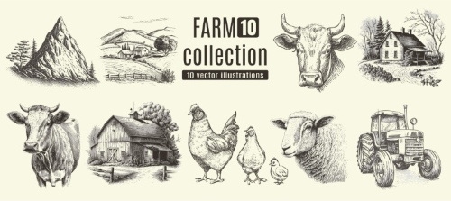 Farm Animal Vintage Engravers Collection #1, 24xAI 5xJPEG