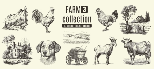 Farm Animal Vintage Engravers Collection #1, 24xAI 12xJPEG