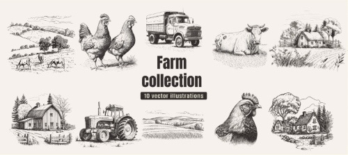 Farm Animal Vintage Engravers Collection #1, 24xAI 5xJPEG