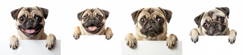 Dogs in Action 27xPNG