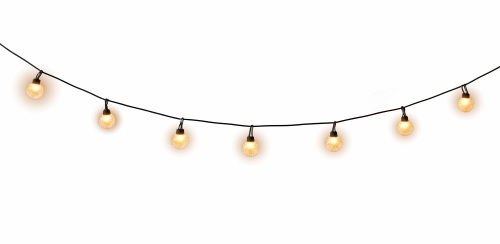 Christmas Garland Lights 25xPNG