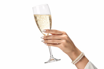 Cheers 2026 - New Year Party & Champagne 10xPNG 16xJPEG