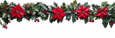 Christmas Garlands Isolated Collection 28xPNG
