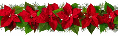 Christmas Garlands Isolated Collection 28xPNG