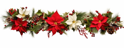 Christmas Garlands Isolated Collection 28xPNG