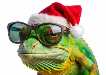 Funny Santa Claus & Santa Animals 31xPNG Funny Santa Claus & Santa Animals 31xPNG