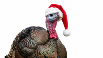 Funny Santa Claus & Santa Animals 31xPNG Funny Santa Claus & Santa Animals 31xPNG