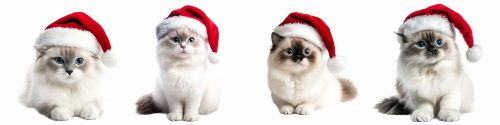 Funny Santa Claus & Santa Animals 31xPNG Funny Santa Claus & Santa Animals 31xPNG