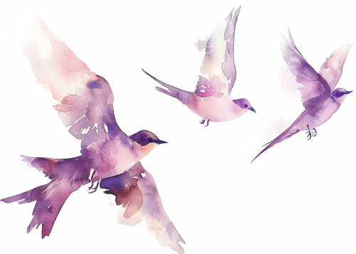 Birds #2, 31xPNG