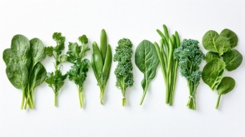 Winter Vegetables #1, 26xJPEG 1xAI