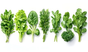 Winter Vegetables #1, 26xJPEG 1xAI