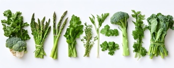 Winter Vegetables #1, 26xJPEG 1xAI