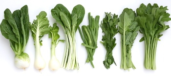 Winter Vegetables #1, 26xJPEG 1xAI