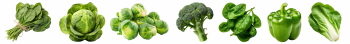 Winter Vegetables #2, 39xPNG