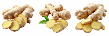 Winter Vegetables #2, 39xPNG