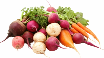 Winter Vegetables #2, 39xPNG