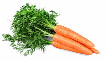 Winter Vegetables #2, 39xPNG