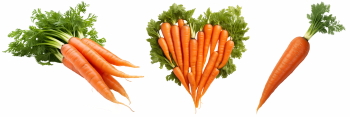 Winter Vegetables #2, 39xPNG