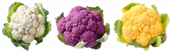 Winter Vegetables #2, 39xPNG