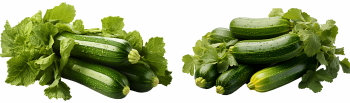 Winter Vegetables #2, 39xPNG