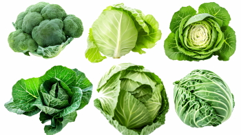 Winter Vegetables #2, 39xPNG