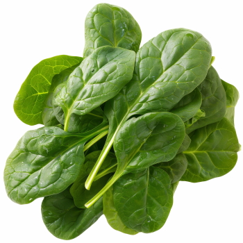 Winter Vegetables #2, 39xPNG