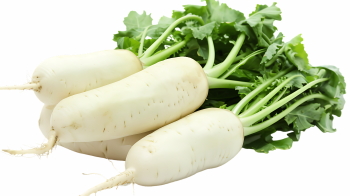 Winter Vegetables #2, 39xPNG