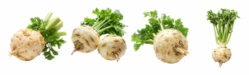 Winter Vegetables #2, 39xPNG
