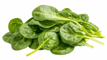 Winter Vegetables #2, 39xPNG