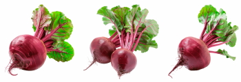 Winter Vegetables #2, 39xPNG