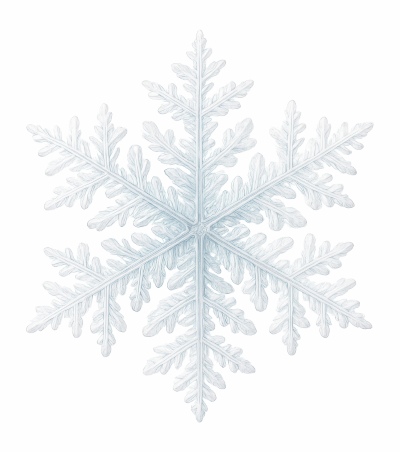 Snowflakes & Snowing Backgrounds 41xPNG