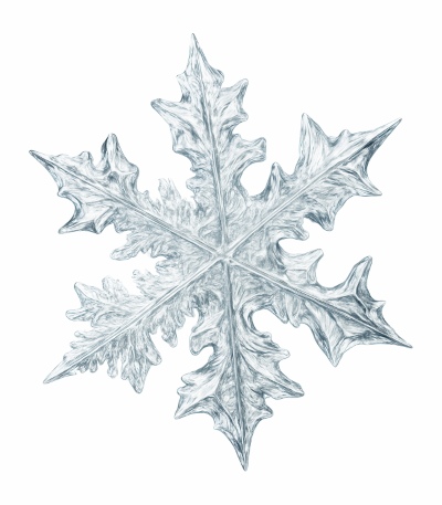 Snowflakes & Snowing Backgrounds 41xPNG