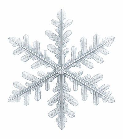 Snowflakes & Snowing Backgrounds 41xPNG