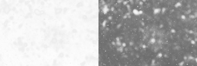 Snowflakes & Snowing Backgrounds 41xPNG