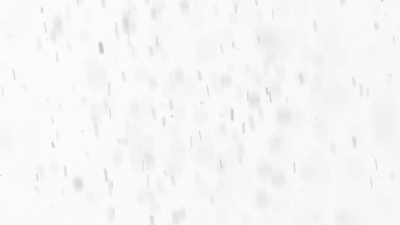 Snowflakes & Snowing Backgrounds 41xPNG