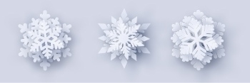 The Best Snowflake Vectors Collection 31xAI The Best Snowflake Vectors Collection 31xAI
