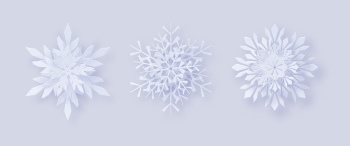 The Best Snowflake Vectors Collection 31xAI The Best Snowflake Vectors Collection 31xAI