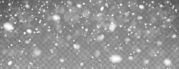Falling Snowflakes on Transparent Backgrounds 44xAI