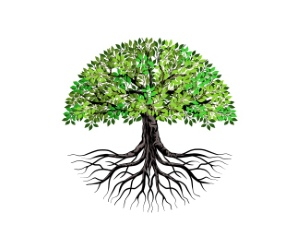 Tree Logos & Design Elements #1, 25xAI Tree Logos & Design Elements #1, 25xAI