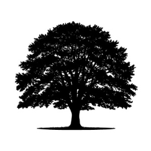 Tree Logos & Design Elements #2, 25xAI Tree Logos & Design Elements #2, 25xAI