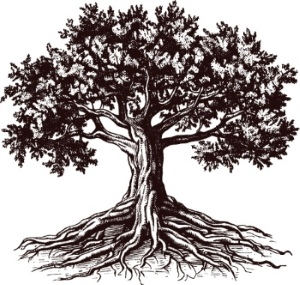 Tree Logos & Design Elements #2, 25xAI Tree Logos & Design Elements #2, 25xAI