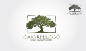 Tree Logos & Design Elements #2, 25xAI Tree Logos & Design Elements #2, 25xAI