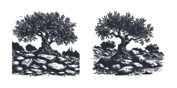 Olive Tree Design Elements #1, 25xAI Olive Tree Design Elements #1, 25xAI