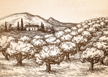 Olive Tree Design Elements #1, 25xAI Olive Tree Design Elements #1, 25xAI