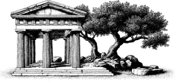 Olive Tree Design Elements #1, 25xAI Olive Tree Design Elements #1, 25xAI