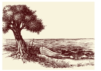 Olive Tree Design Elements #1, 25xAI Olive Tree Design Elements #1, 25xAI