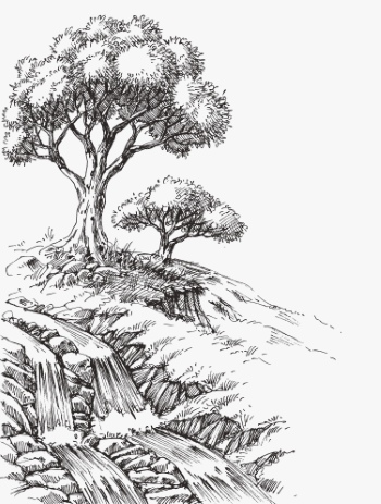 Olive Tree Design Elements #1, 25xAI Olive Tree Design Elements #1, 25xAI