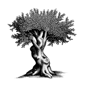 Olive Tree Design Elements #1, 25xAI Olive Tree Design Elements #1, 25xAI